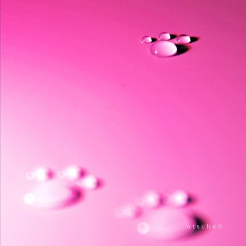 pink_panters_08