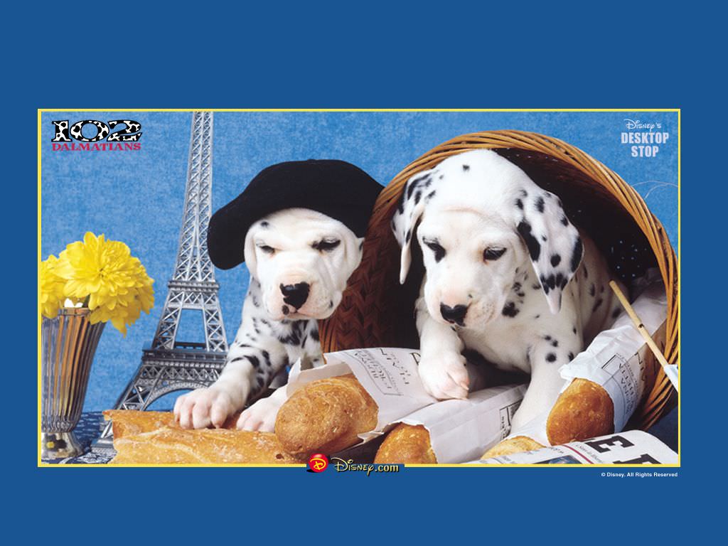 101_dalmatians_-_dalmatinci_02