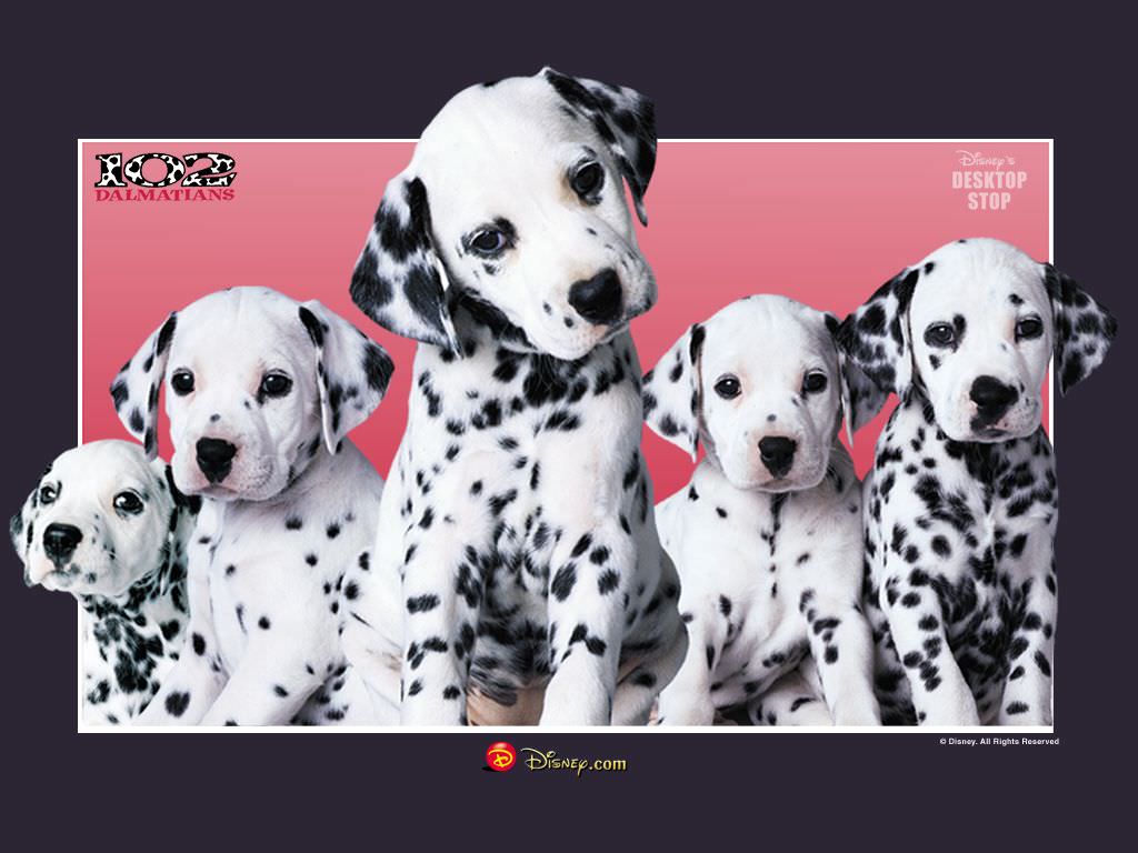 101_dalmatians_-_dalmatinci_05