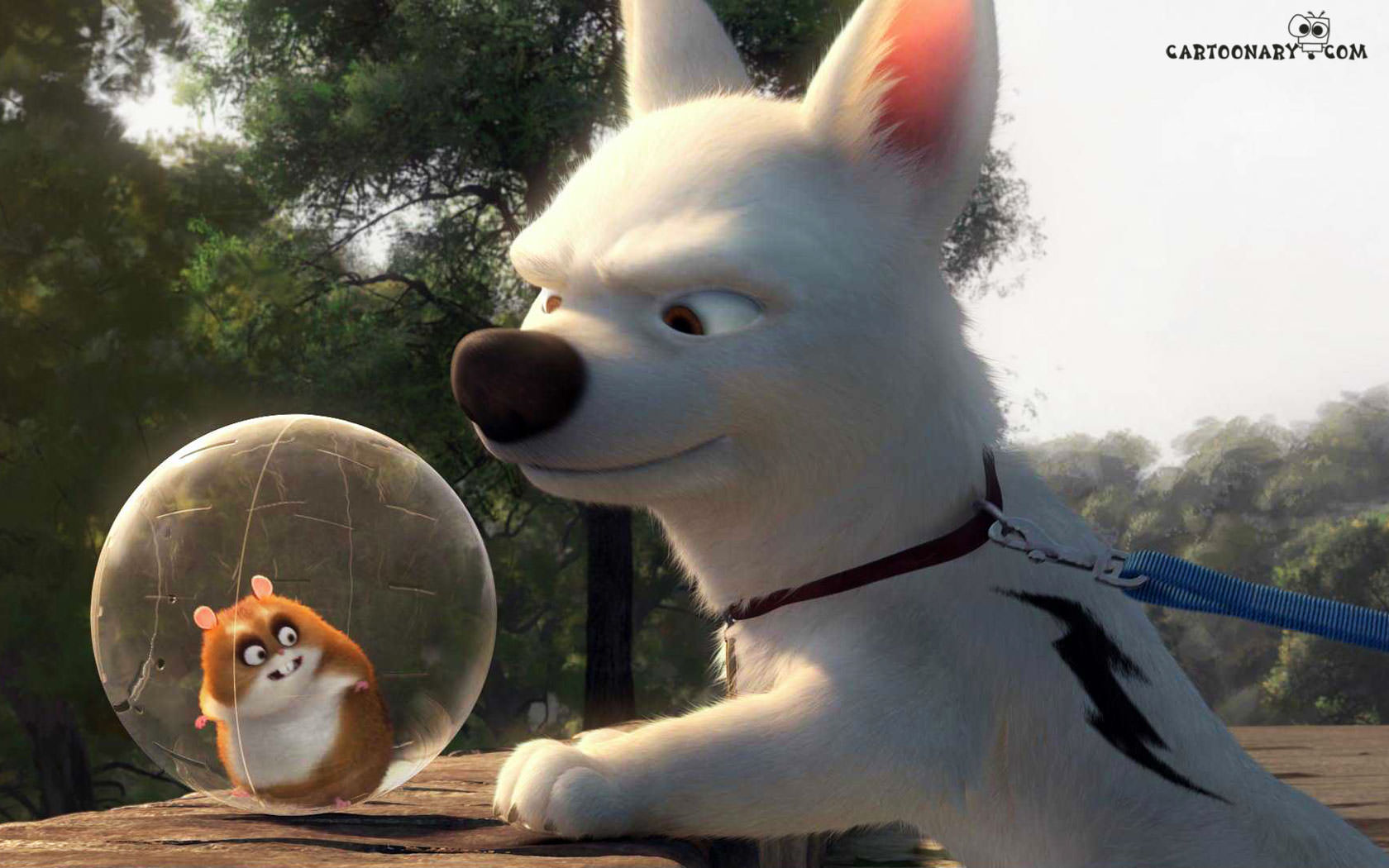 bolt_04