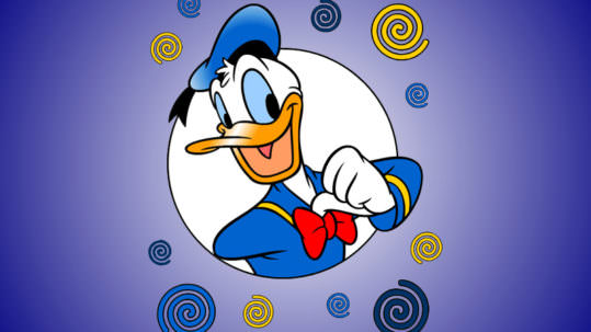 donald_duck_-_paja_patak_04