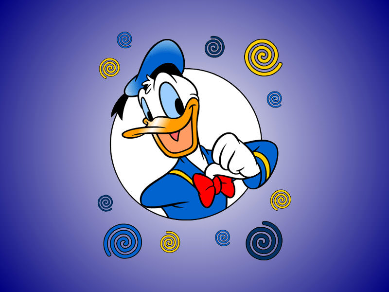 donald_duck_-_paja_patak_04