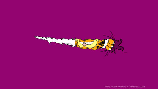 garfield_08