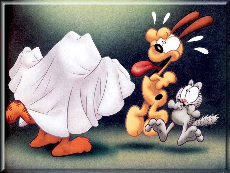 garfield_14