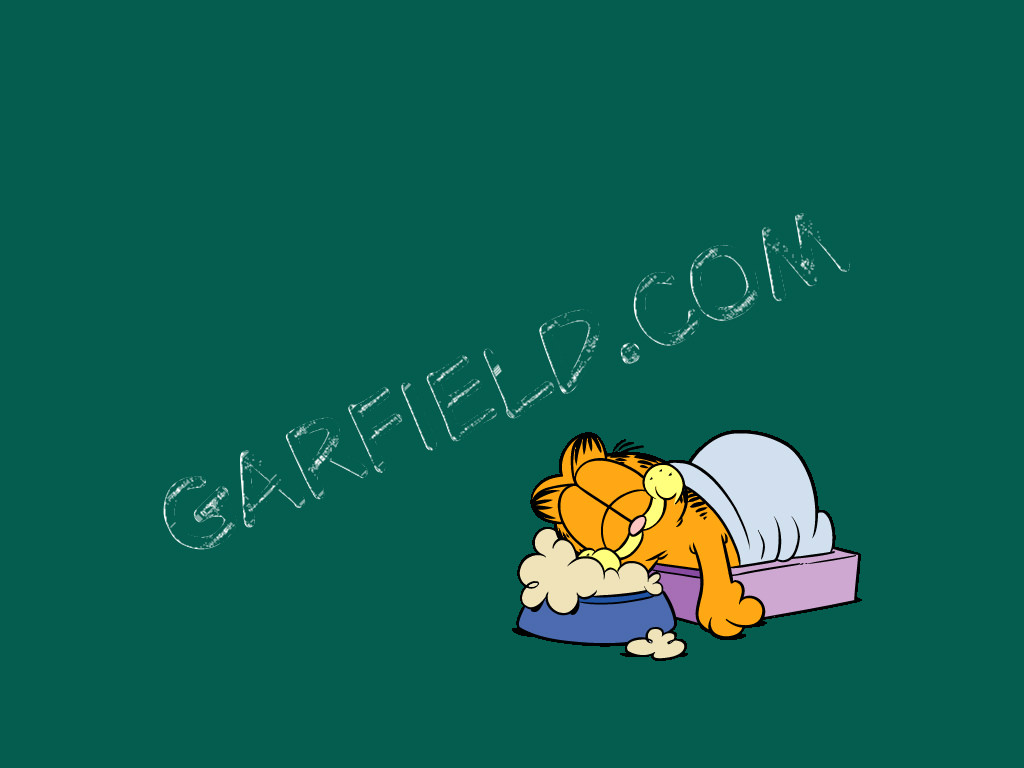 garfield_17