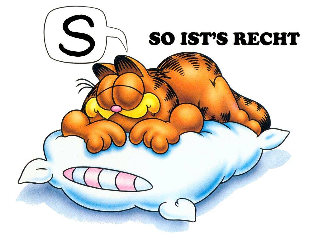 garfield_21