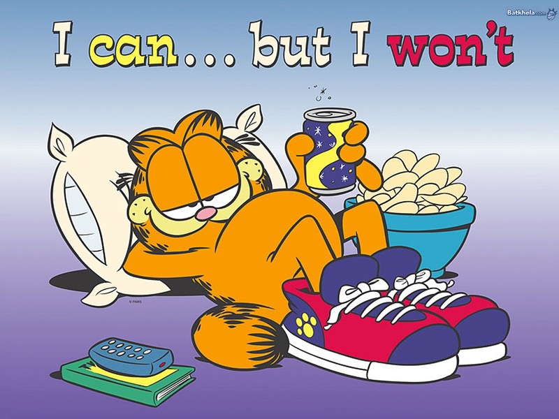 garfield_23