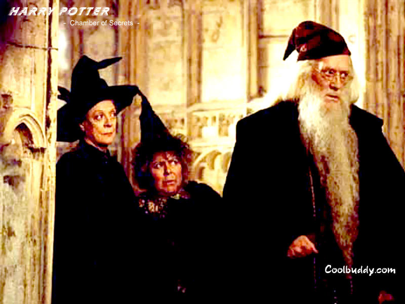 harry_potter_17