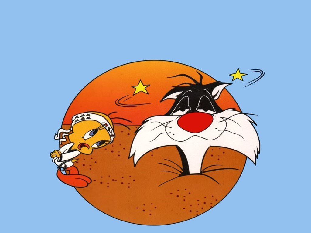 looney_tunes_-_sasava_druzina_24