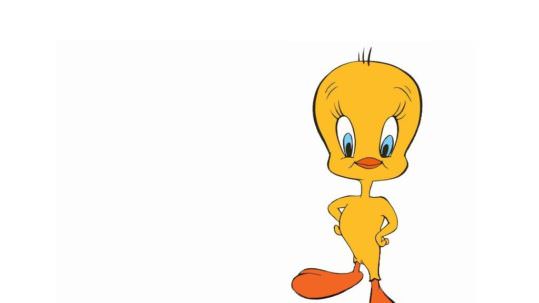 looney_tunes_-_sasava_druzina_35