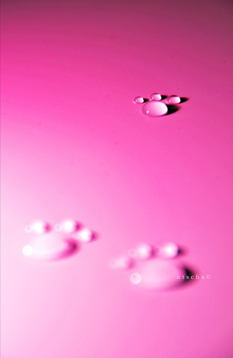 pink_panters_08