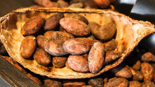 cacao-3995994_1280