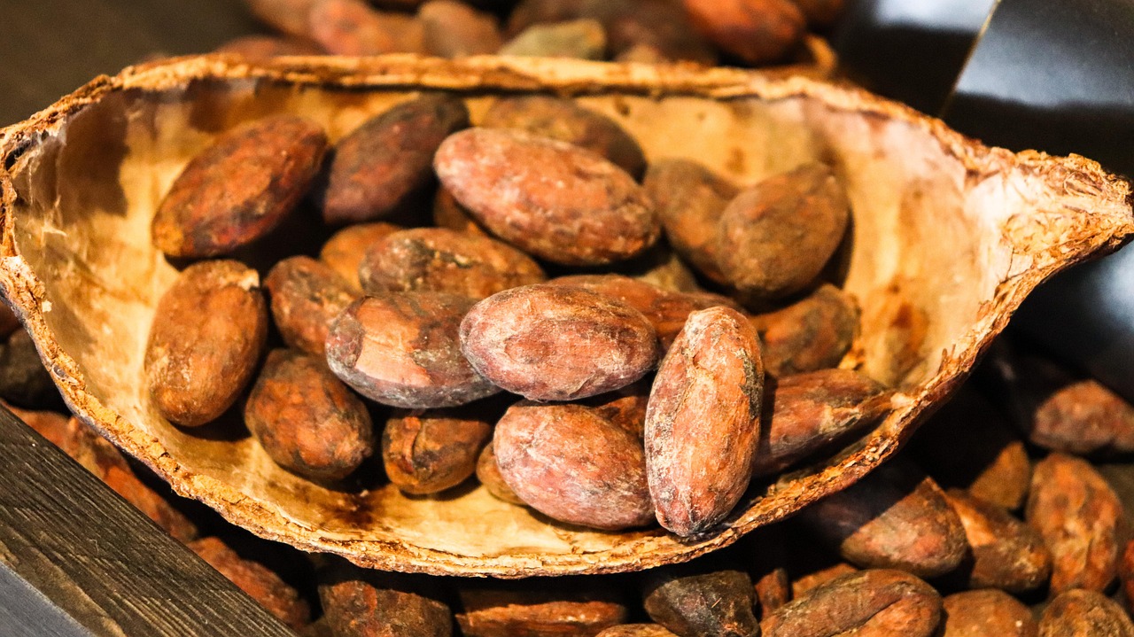 cacao-3995994_1280